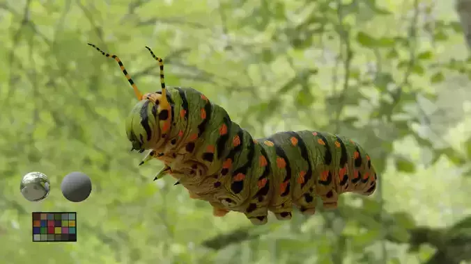 Caterpillar