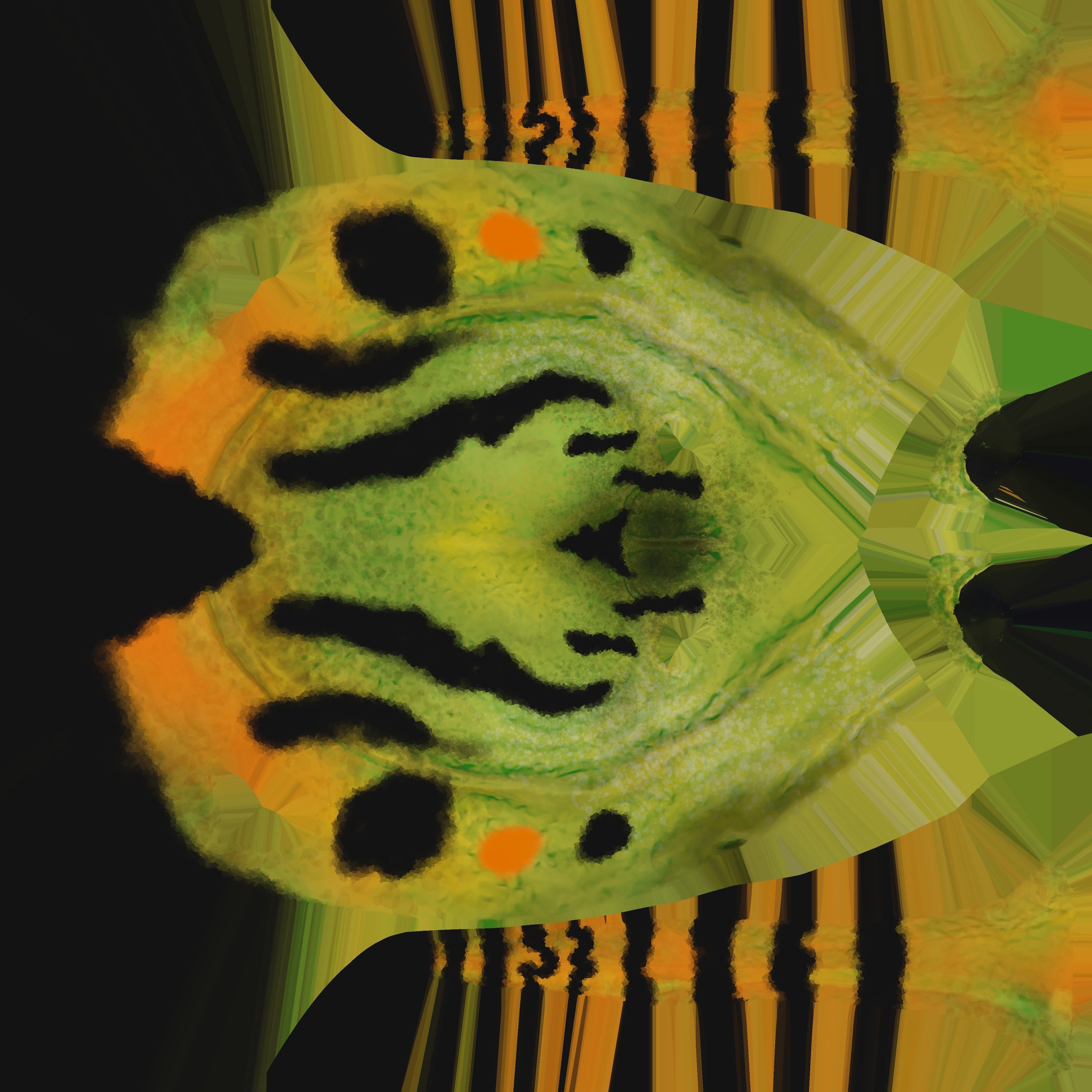 Caterpillar Low-poly 3D model_9