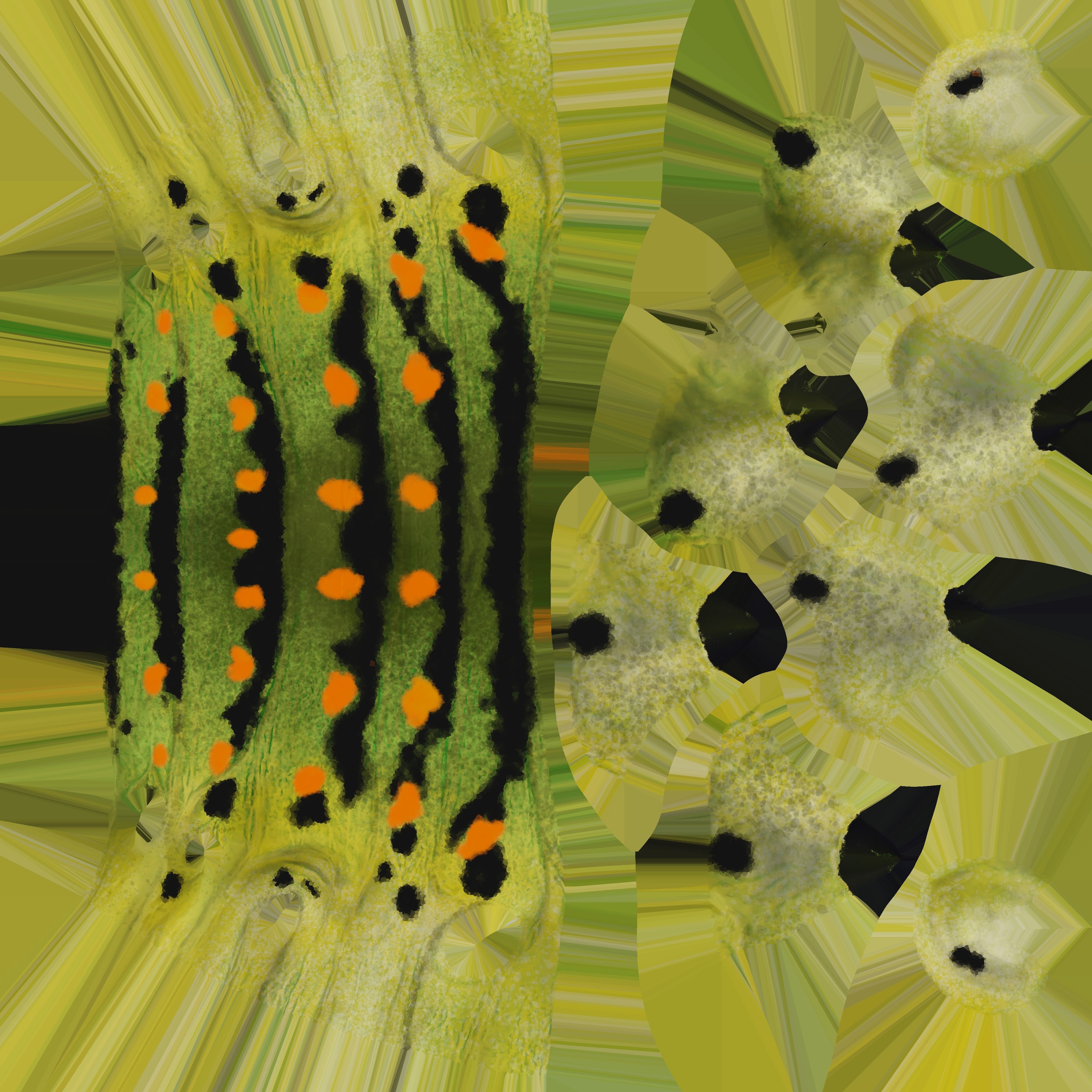 Caterpillar Low-poly 3D model_10