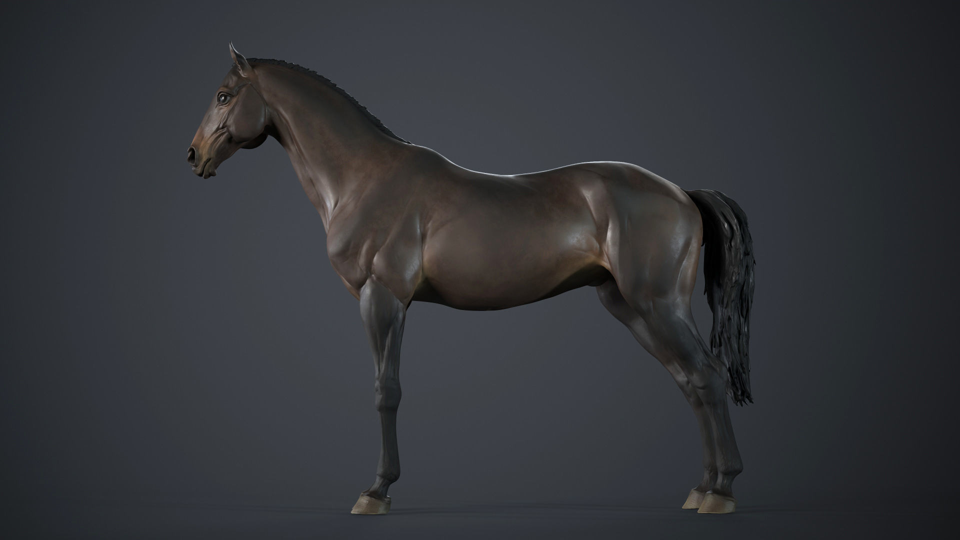 Horse - 3D Sculpting - TPose 3D model_1