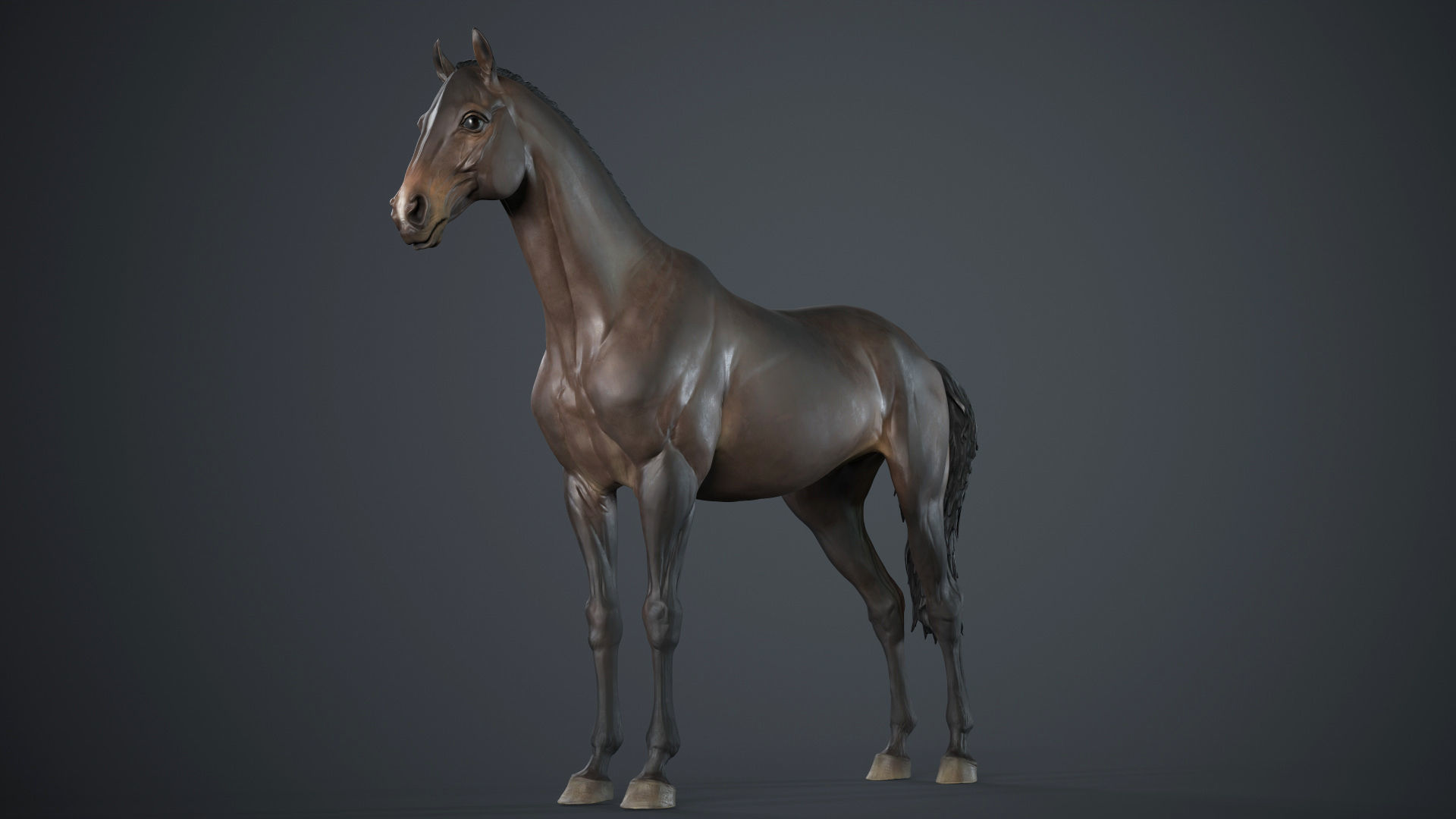 Horse - 3D Sculpting - TPose 3D model_3