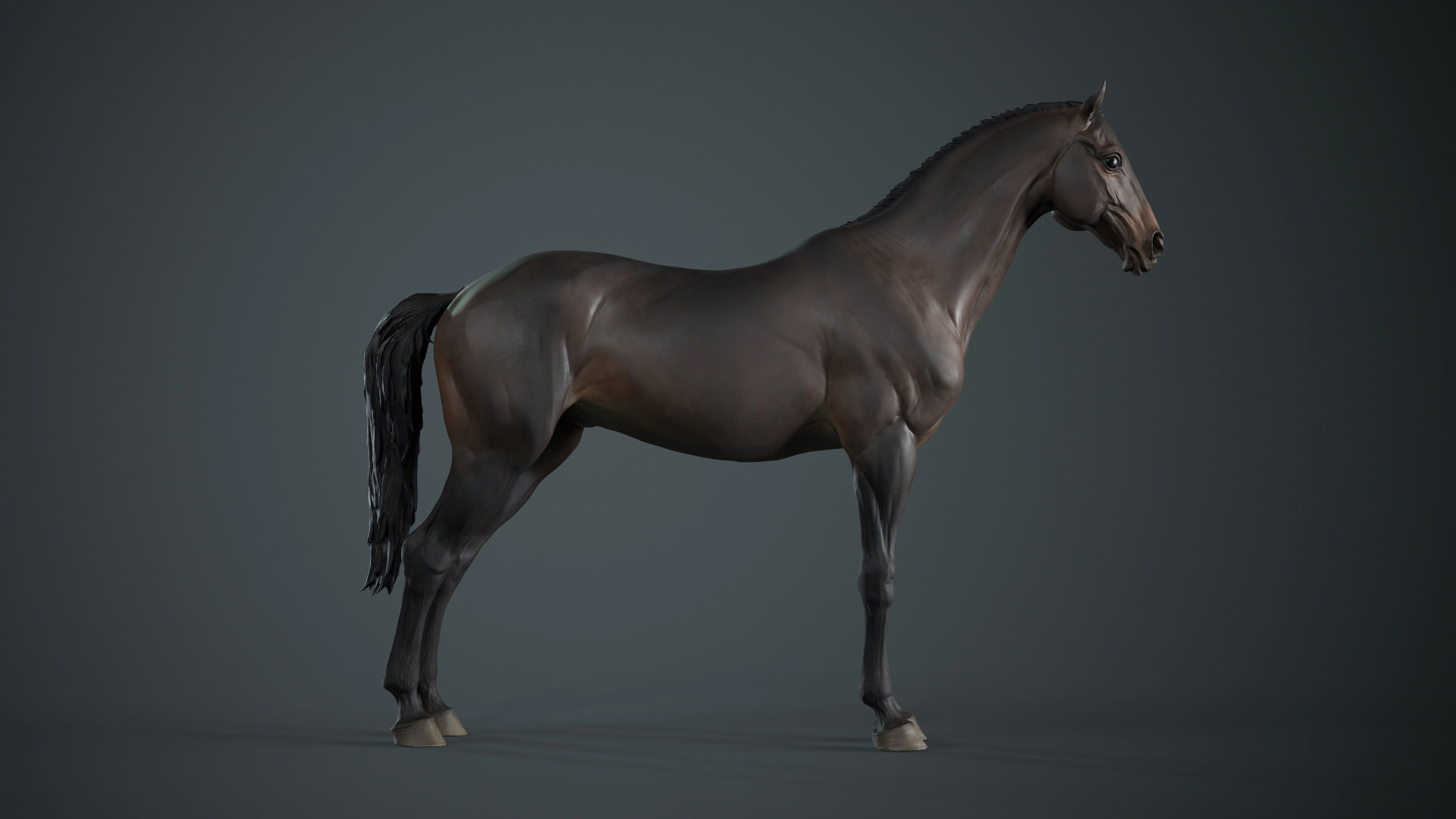 Horse - 3D Sculpting - TPose 3D model_2