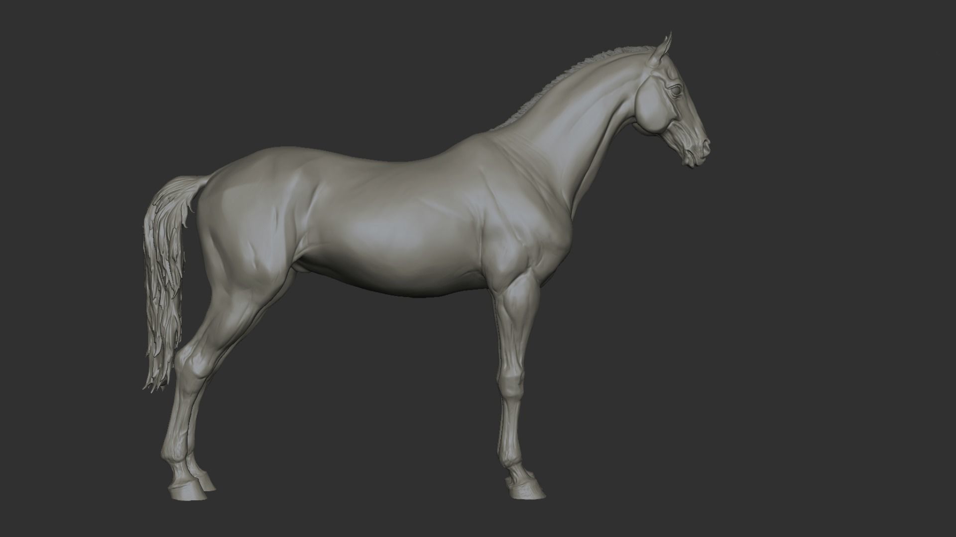 Horse - 3D Sculpting - TPose 3D model_9