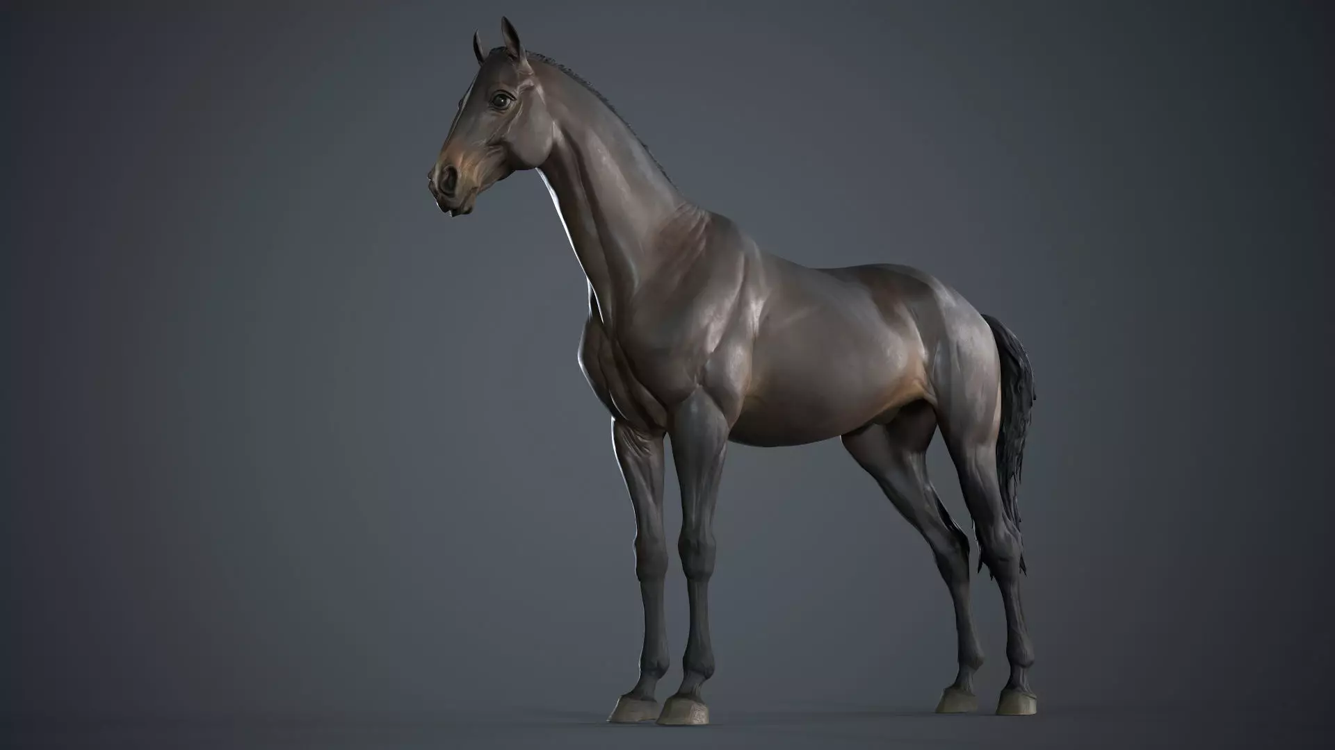 Horse - 3D Sculpting - TPose 3D model_0