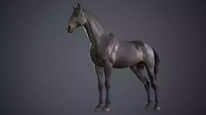 Horse - 3D Sculpting - TPose 3D model