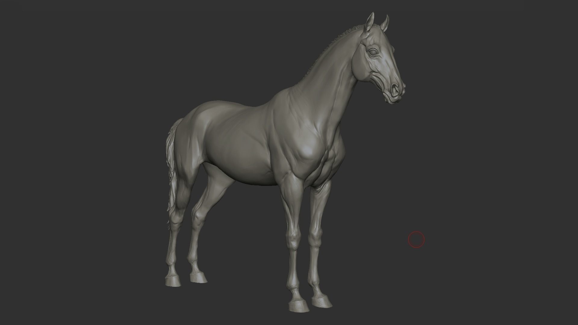 Horse - 3D Sculpting - TPose 3D model_8