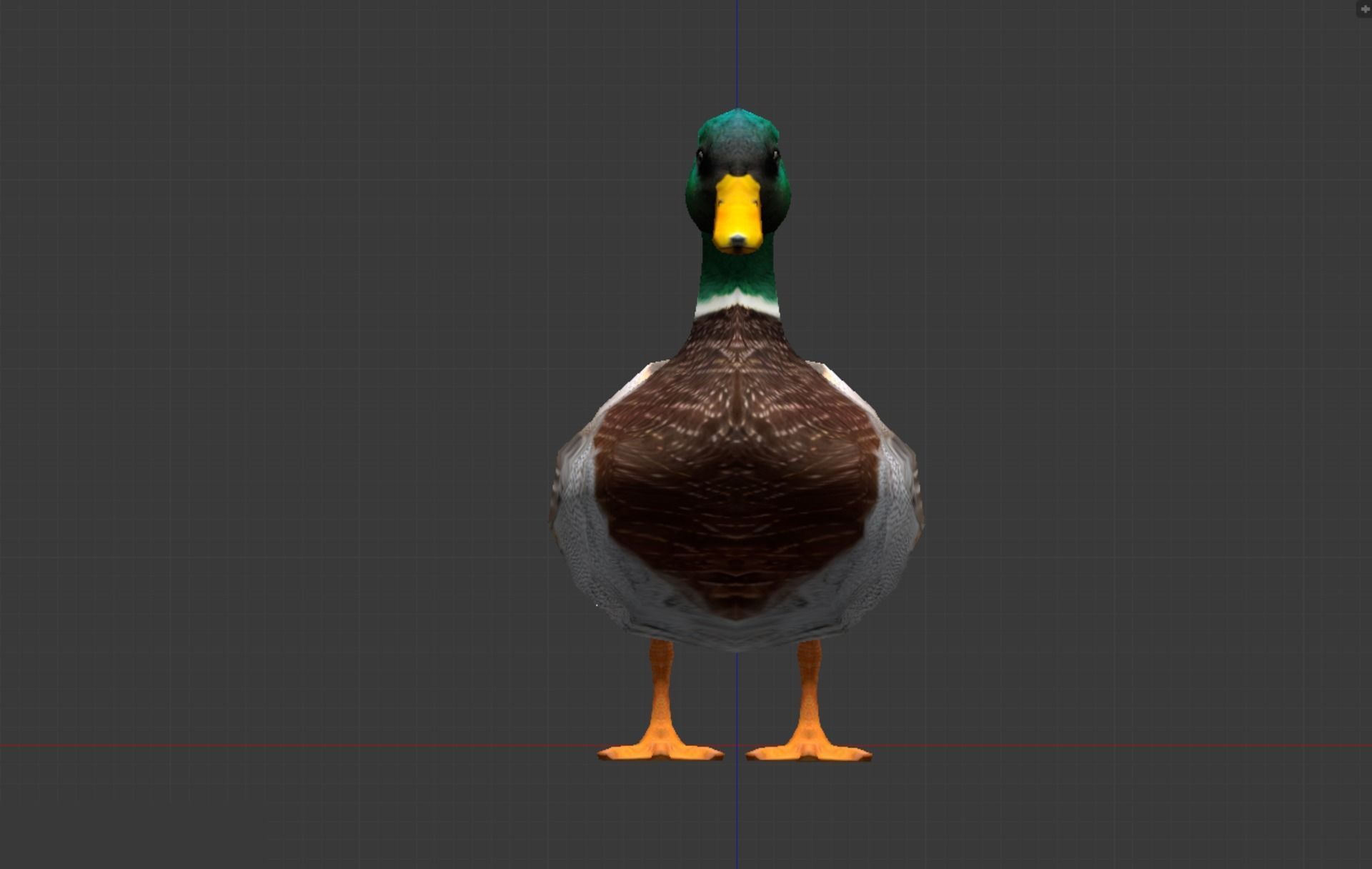 Animated Mallard Ducks Low-poly 3D model_5