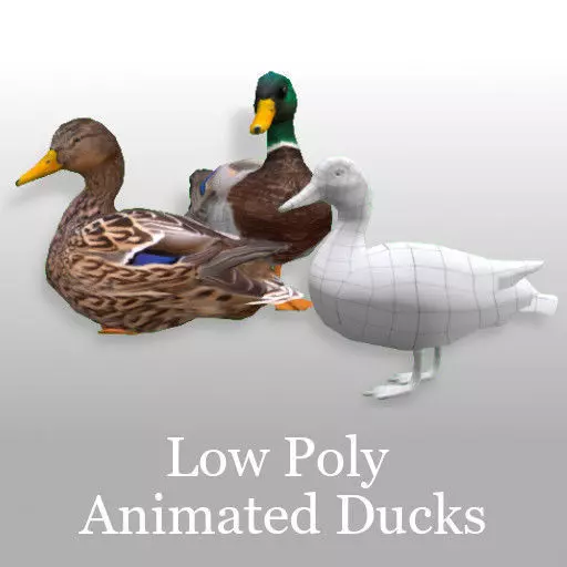 Animated Mallard Ducks Low-poly 3D model_0