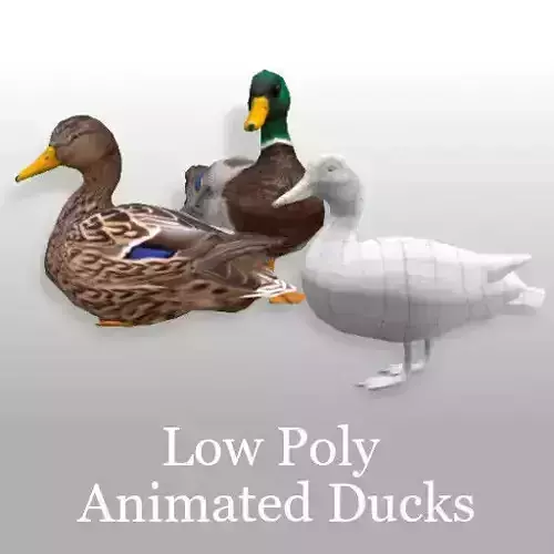 Animated Mallard Ducks