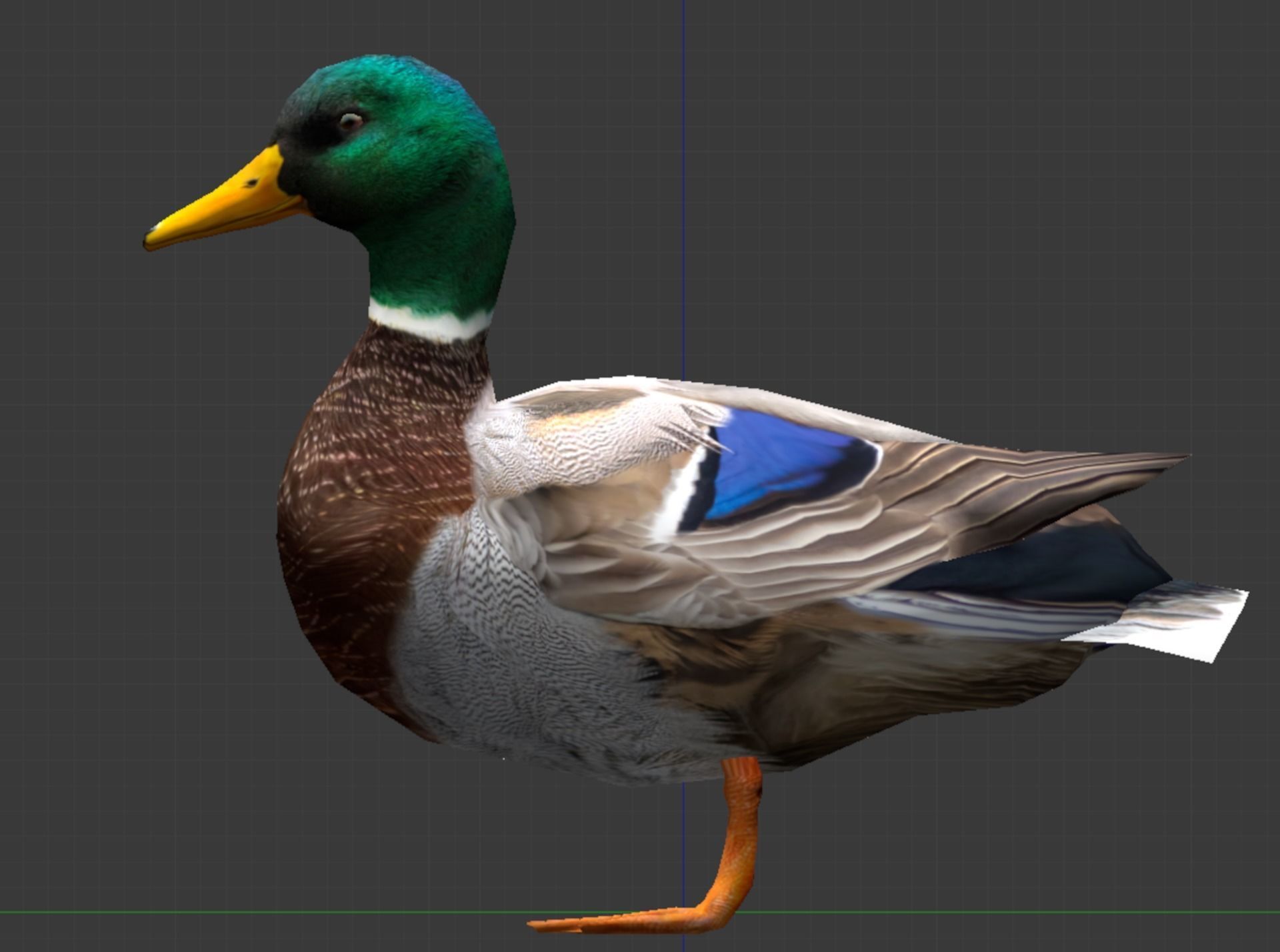 Animated Mallard Ducks Low-poly 3D model_1