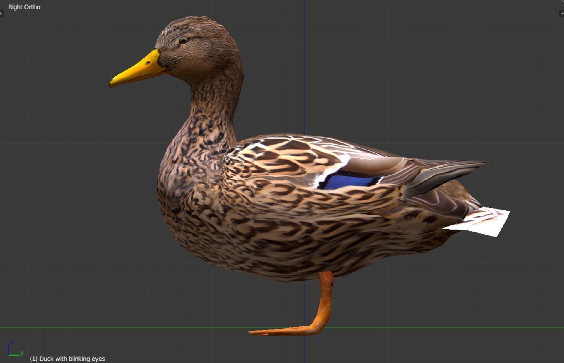 Animated Mallard Ducks Low-poly 3D model_2
