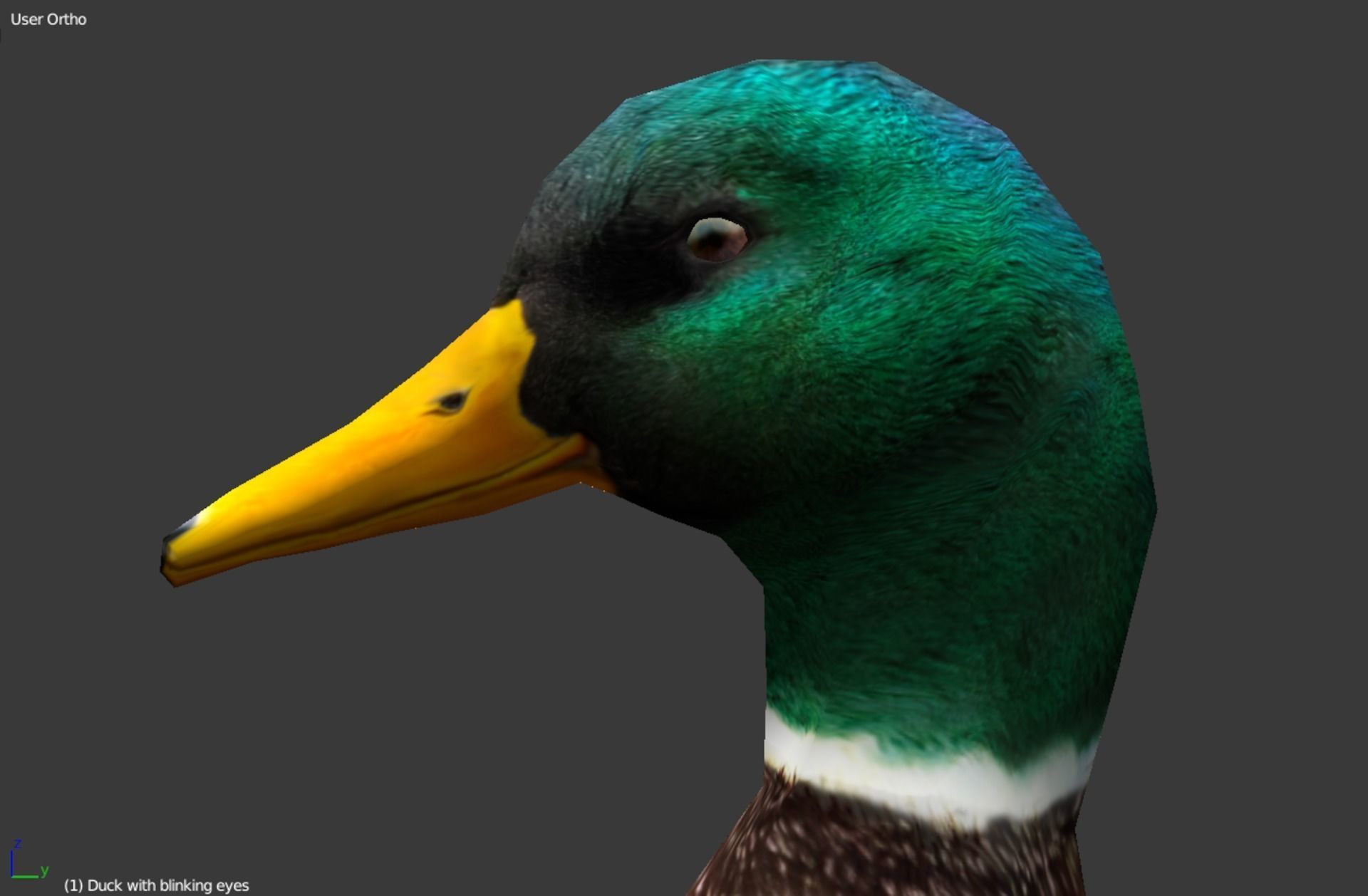 Animated Mallard Ducks Low-poly 3D model_9