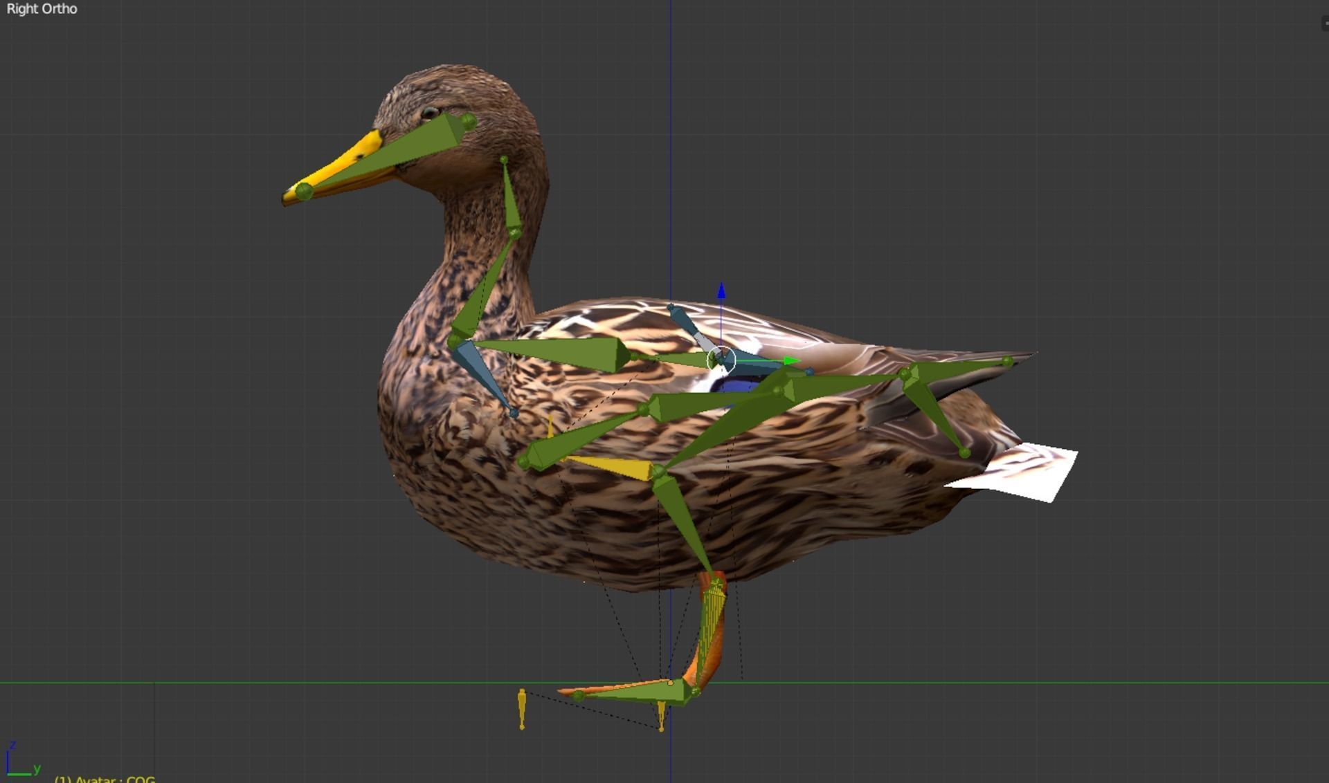 Animated Mallard Ducks Low-poly 3D model_3