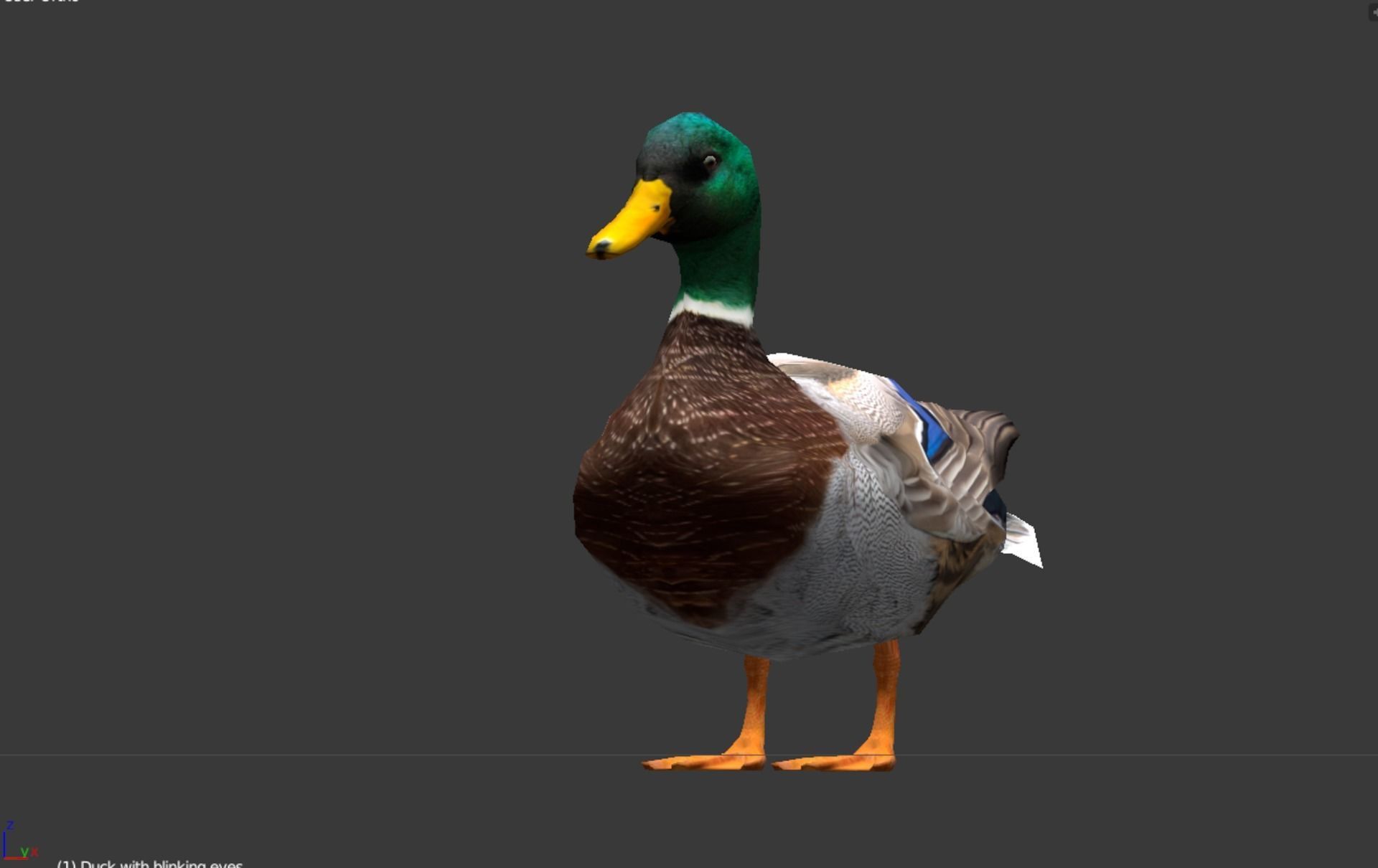 Animated Mallard Ducks Low-poly 3D model_4