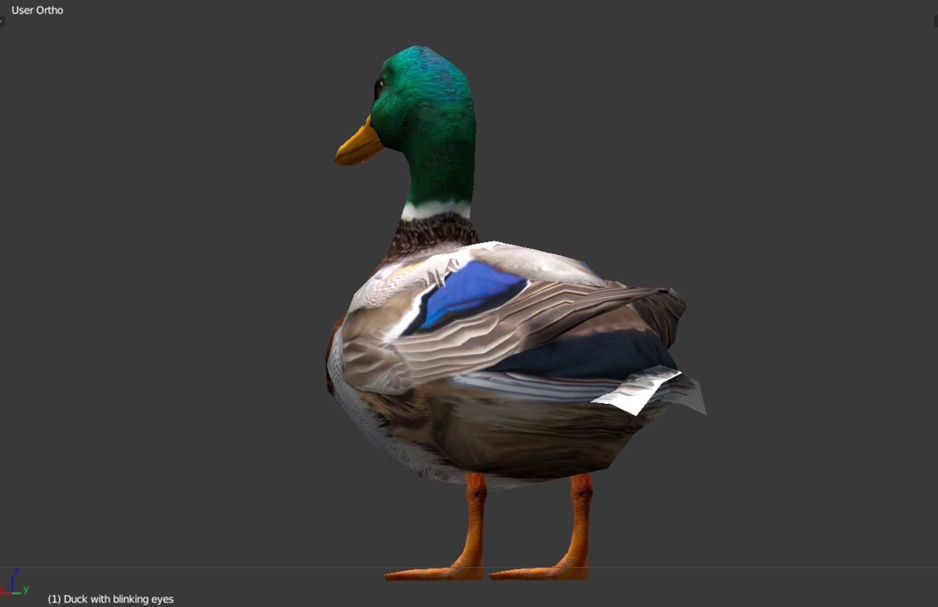 Animated Mallard Ducks Low-poly 3D model_8