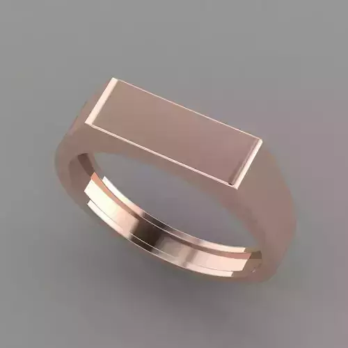  men signet ring mk0043