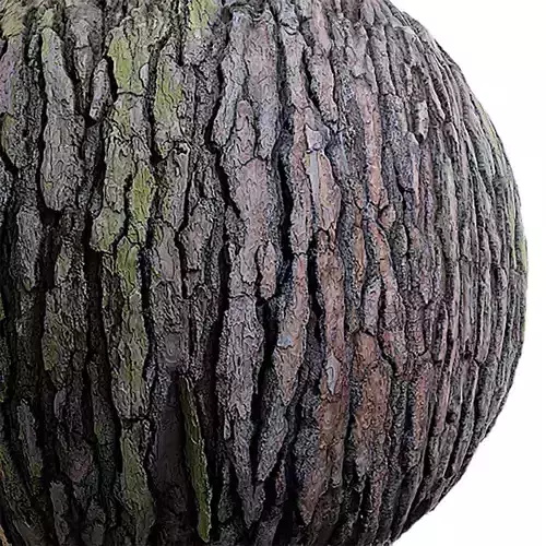 Bark Seamless Texture 2K - EXR 5 - JPG 5 Texture