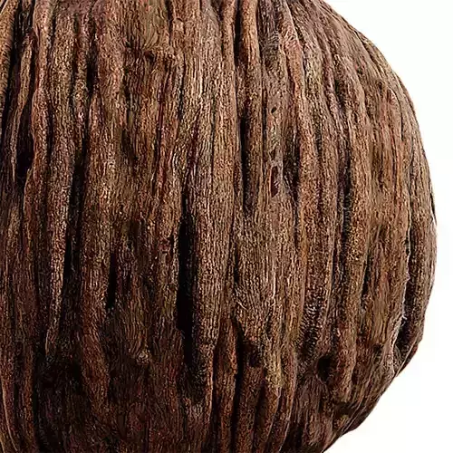 Bark Seamless Texture 2K - EXR 5 - JPG 5 Texture