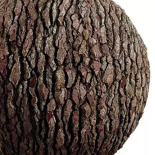 Bark Seamless Texture 2K - EXR 5 - JPG 5 Texture