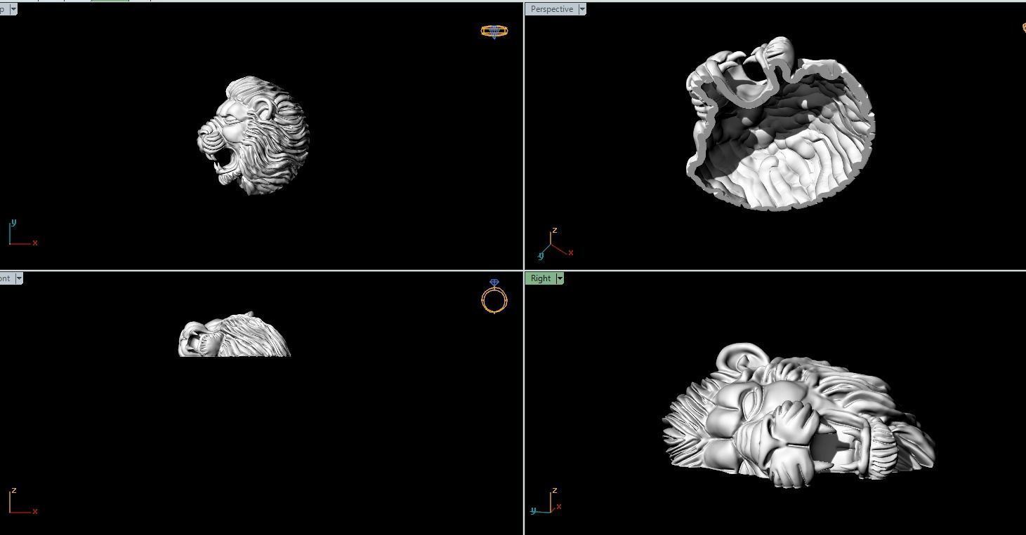 Signet Ring lion face 3D print model 3D print model_1