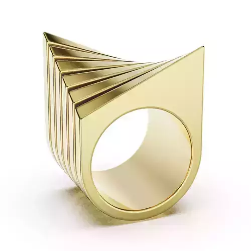 Geometric ring 2024-001
