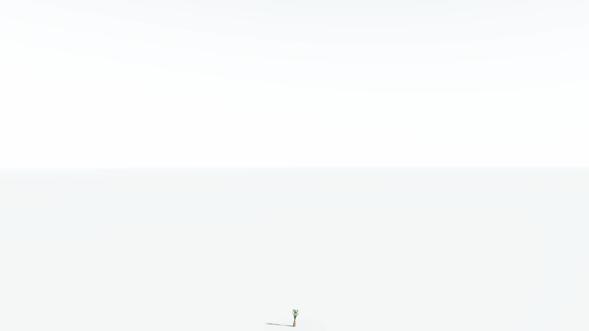 EVERYPlant Psaronius Tree Fern 4 --12 Models-- 3D model_20