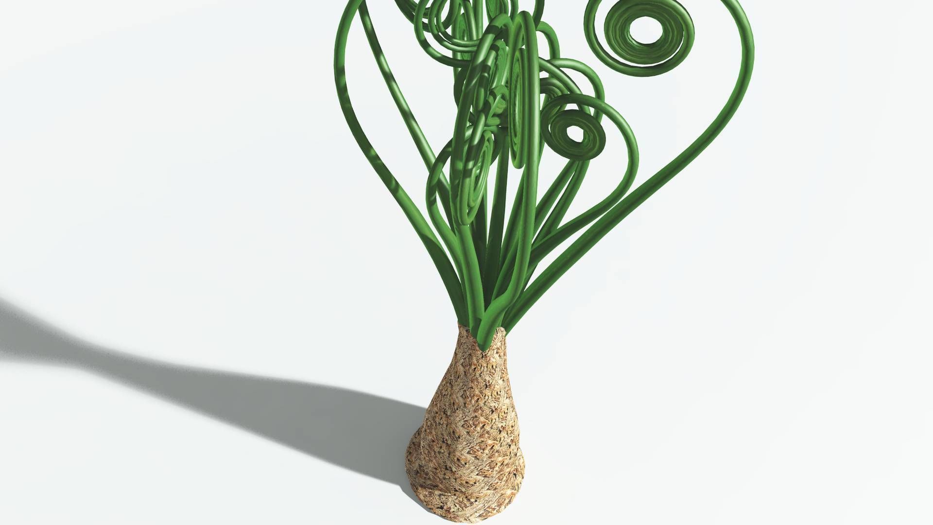 EVERYPlant Psaronius Tree Fern 4 --12 Models-- 3D model_21