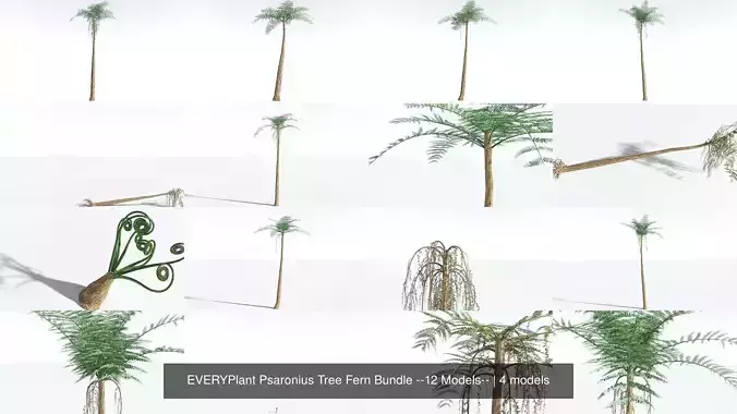 EVERYPlant Psaronius Tree Fern Bundle --48 Models-- 3D Model Collection