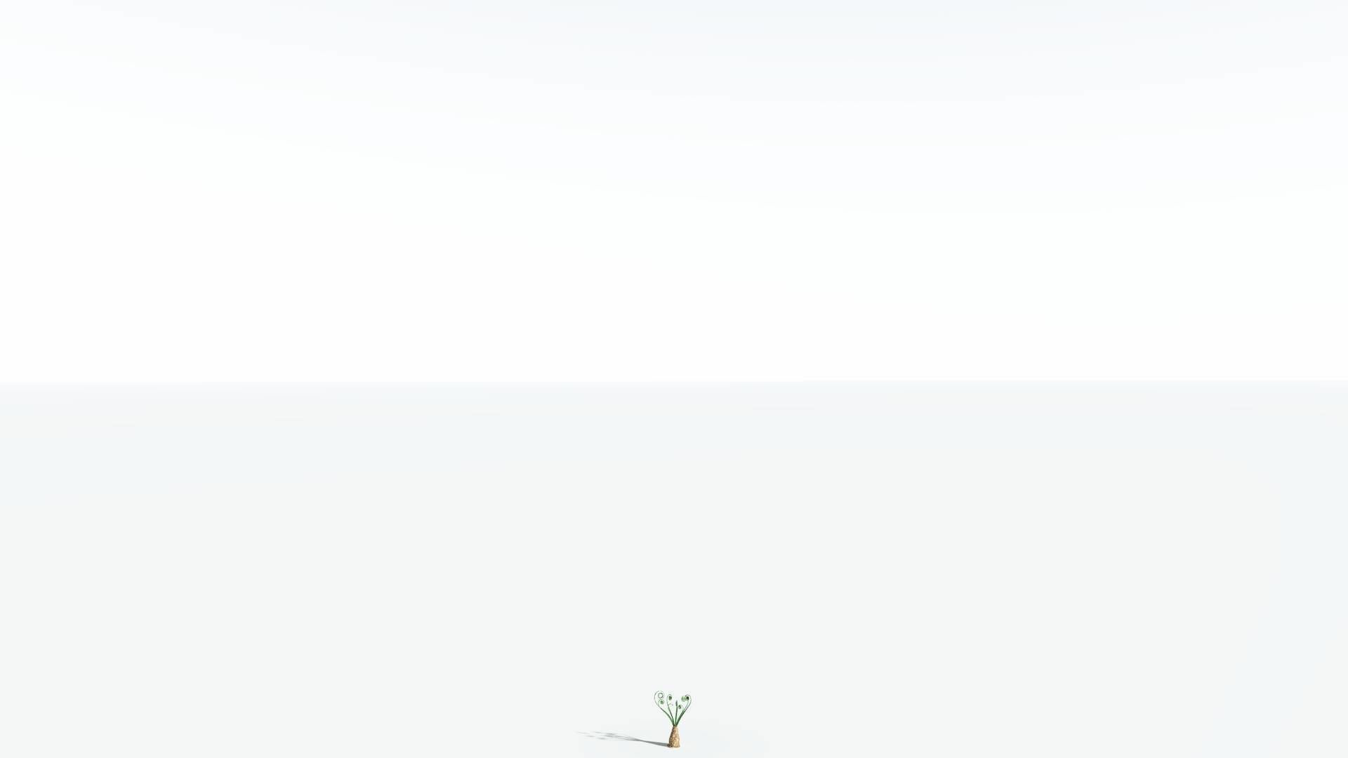 EVERYPlant Psaronius Tree Fern LowPoly 2 --12 Models-- Low-poly 3D model_20