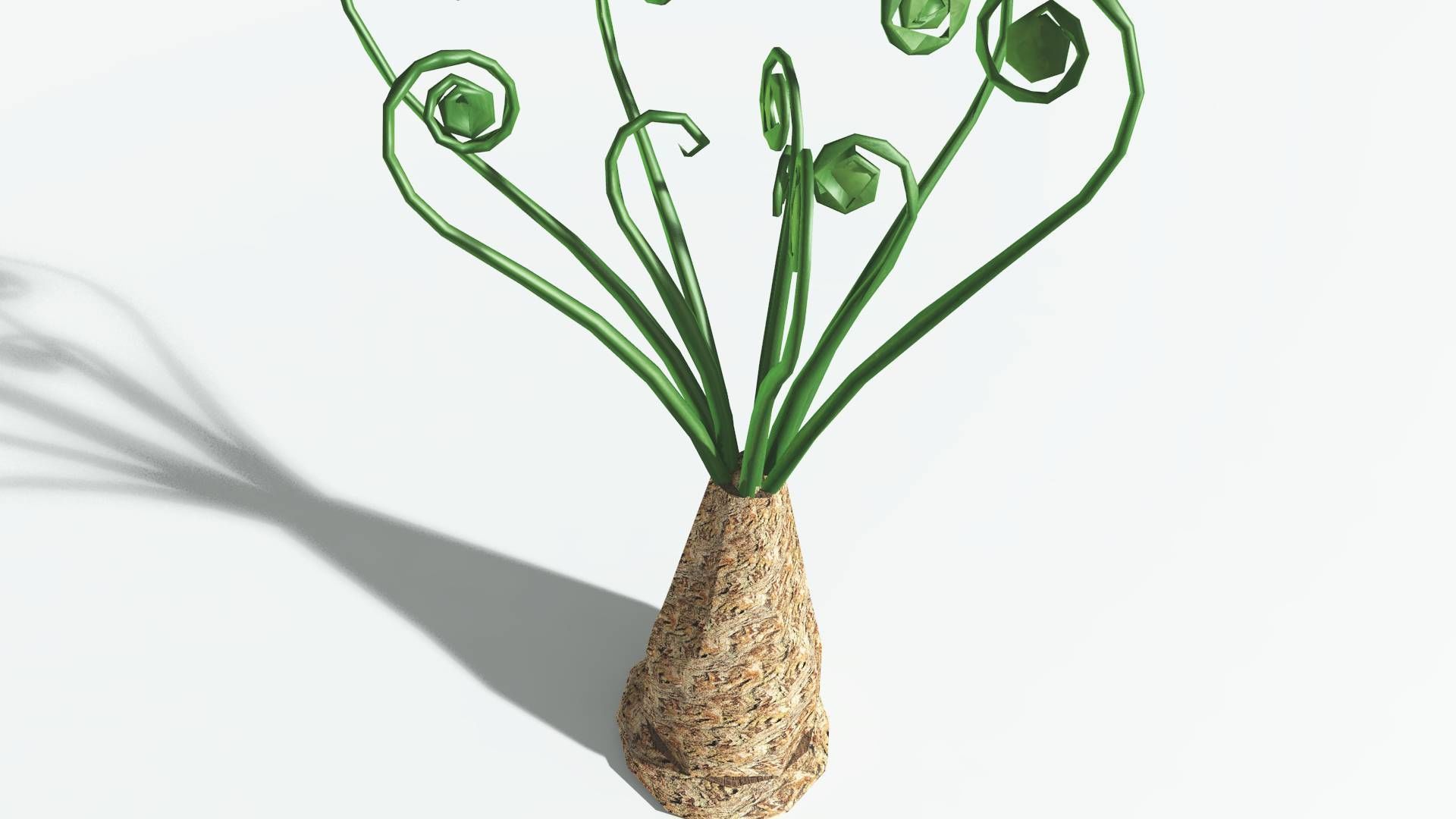 EVERYPlant Psaronius Tree Fern LowPoly 2 --12 Models-- Low-poly 3D model_21