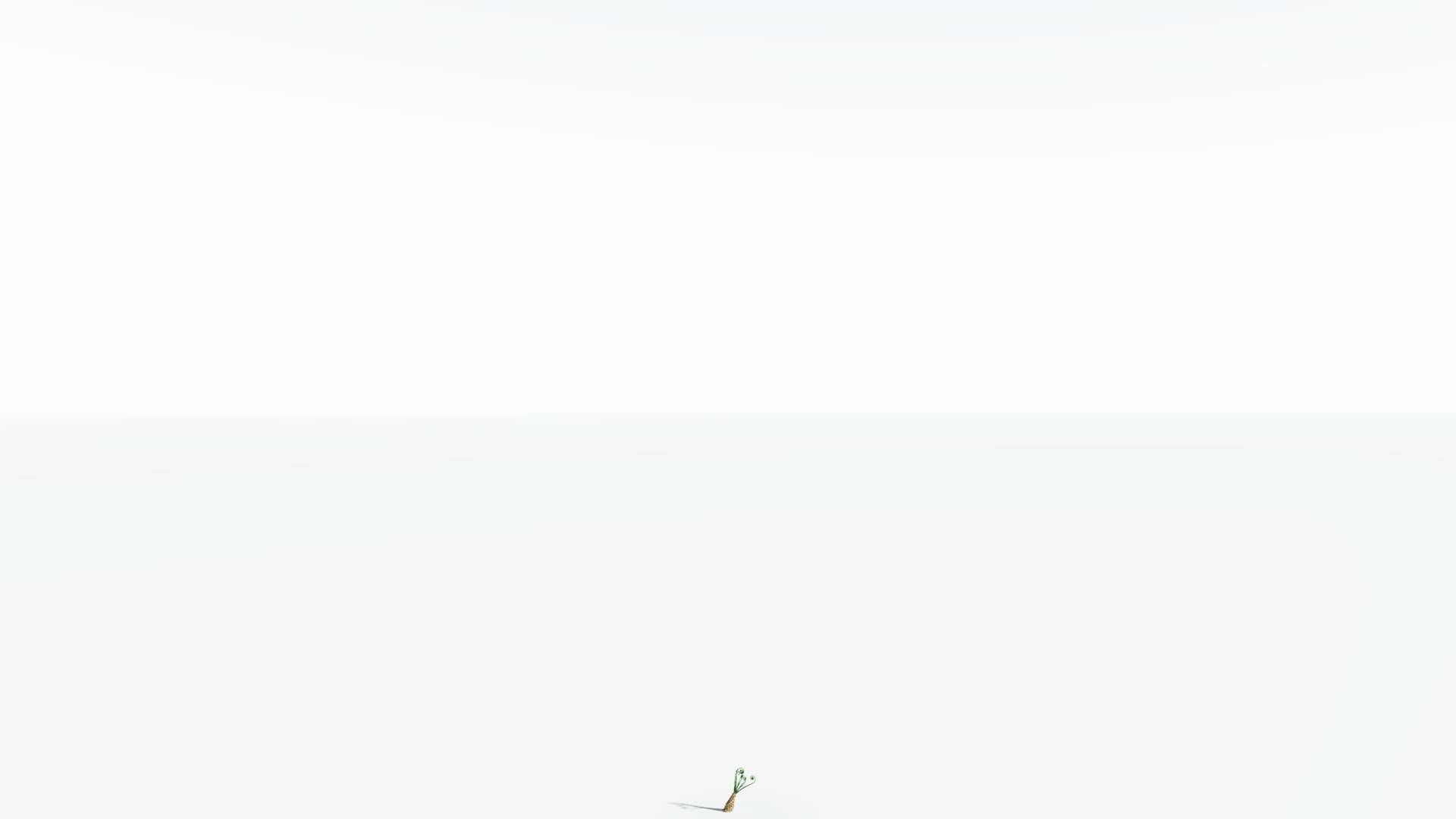 EVERYPlant Psaronius Tree Fern LowPoly 3 --12 Models-- Low-poly 3D model_20