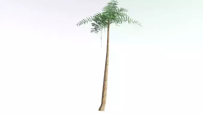 EVERYPlant Psaronius Tree Fern LowPoly 3 --12 Models-- Low-poly 3D model