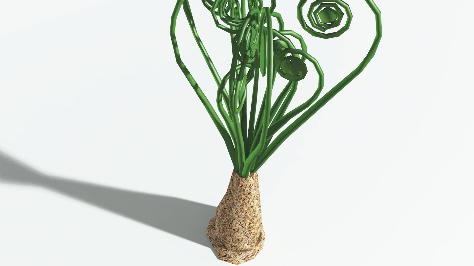 EVERYPlant Psaronius Tree Fern LowPoly 4 --12 Models-- Low-poly 3D model_21