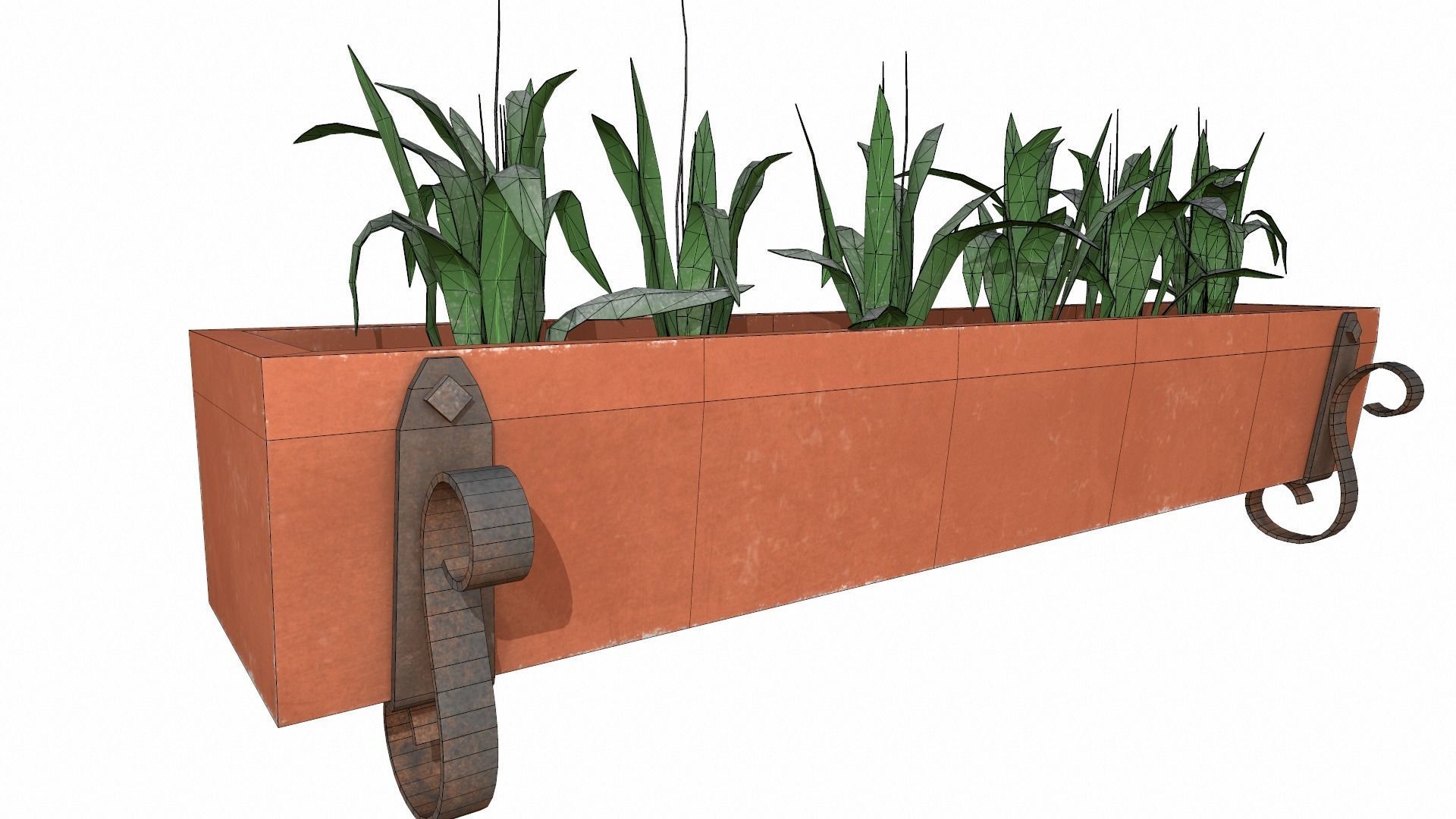 plants Low-poly 3D model_7