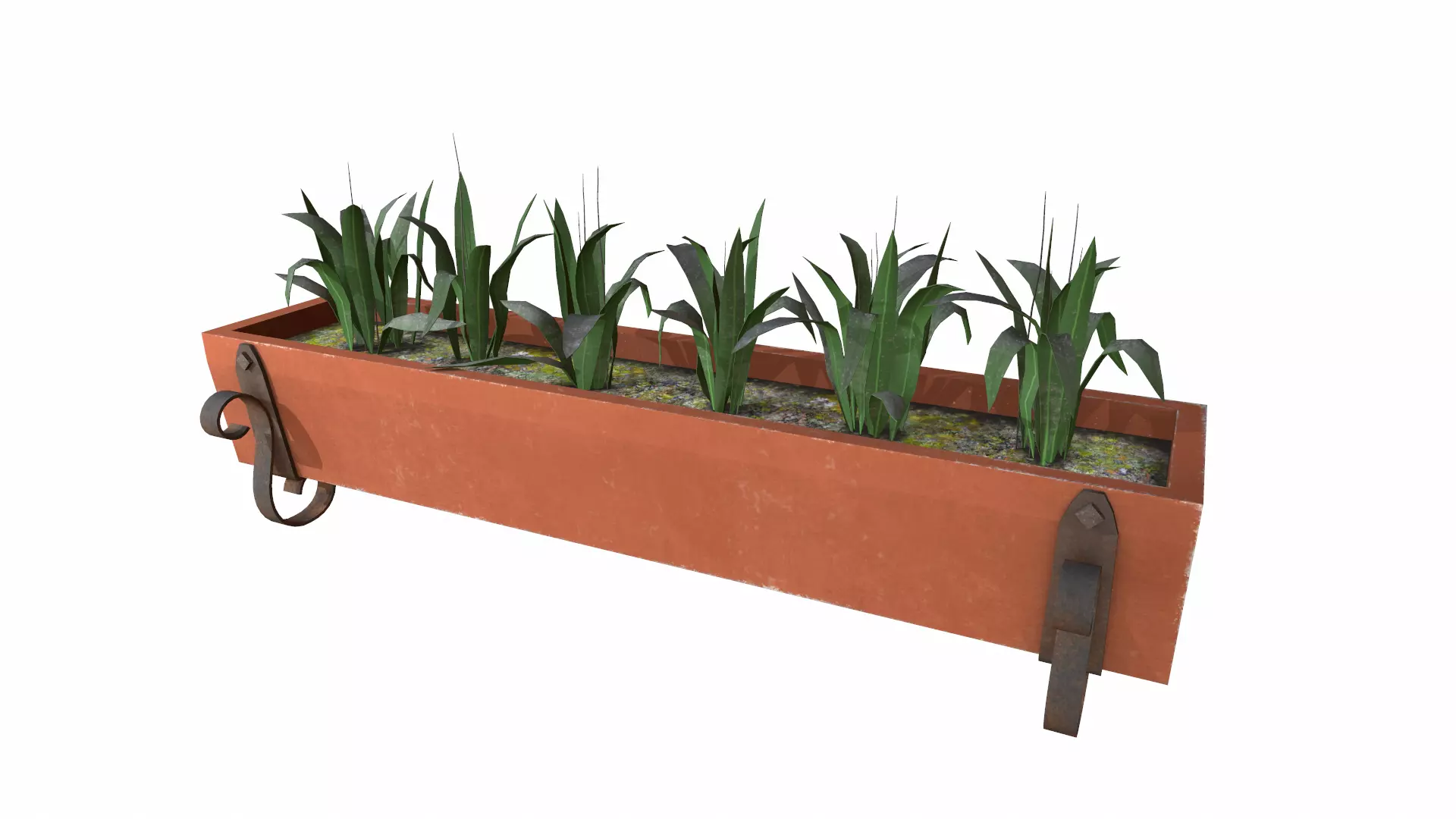 plants Low-poly 3D model_0