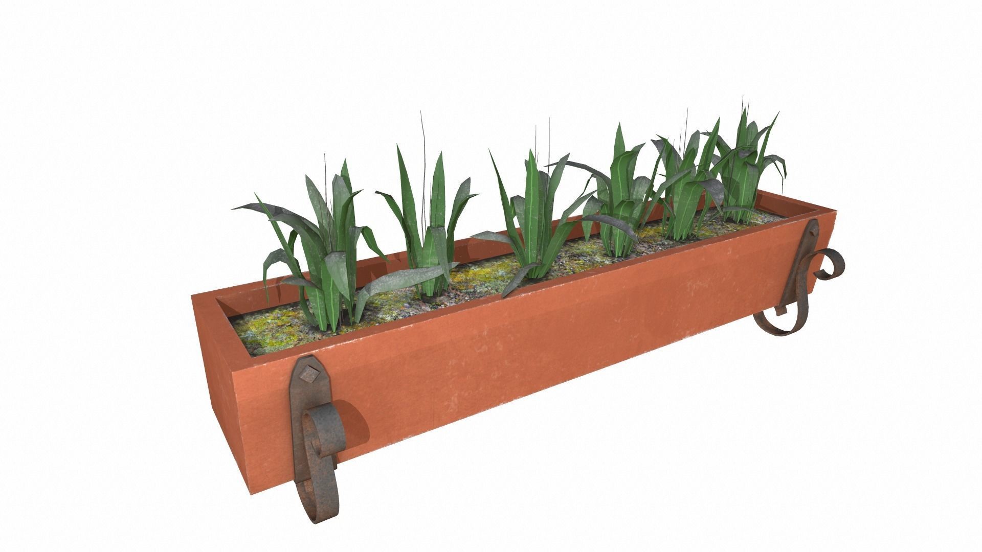 plants Low-poly 3D model_2