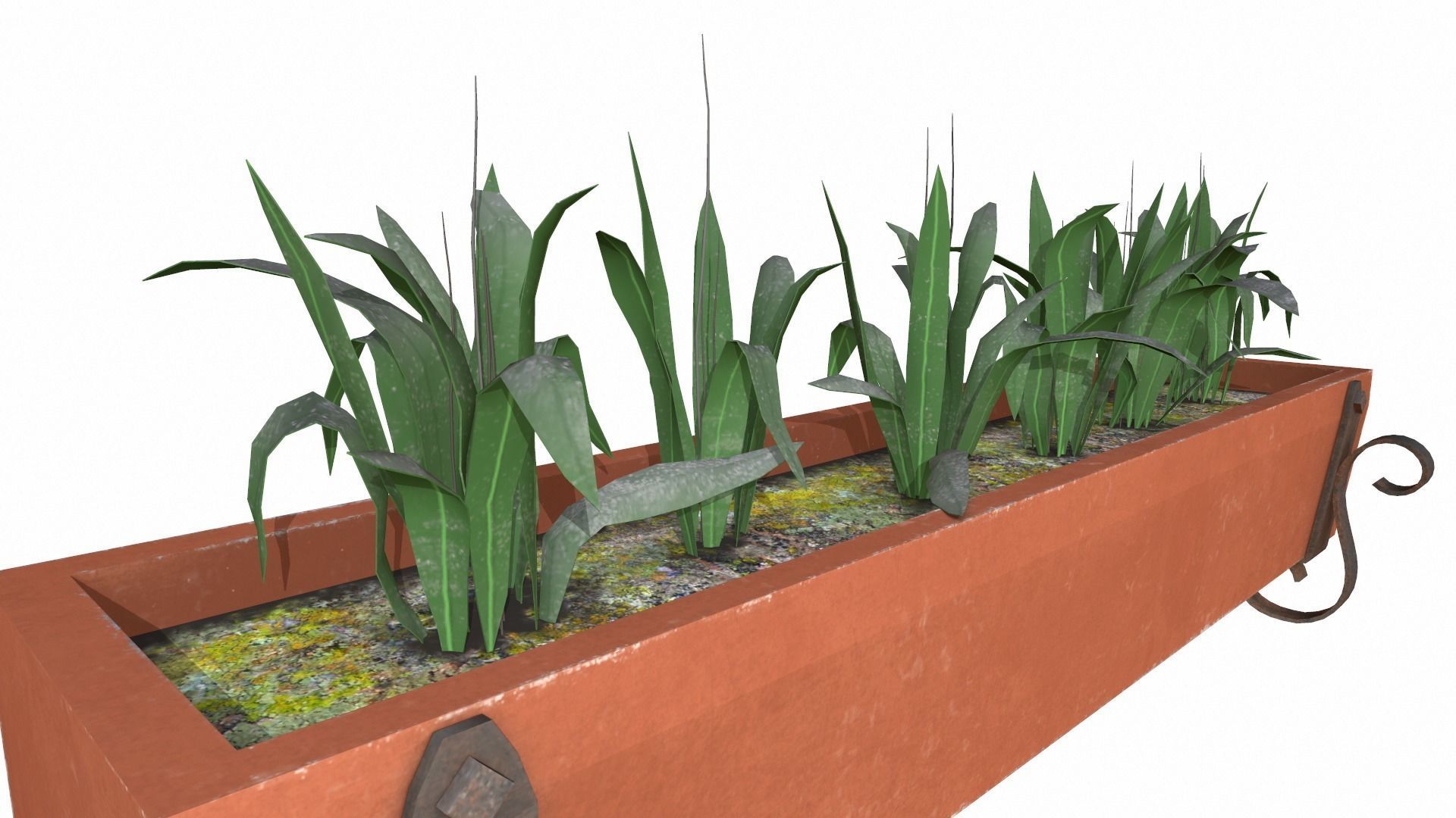 plants Low-poly 3D model_6