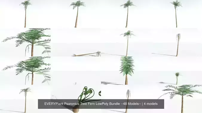 EVERYPlant Psaronius Tree Fern LowPoly Bundle --48 Models-- 3D Model Collection