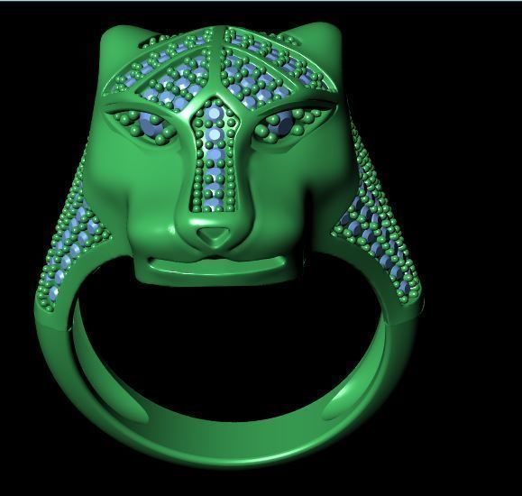 model ring 3D print model_1