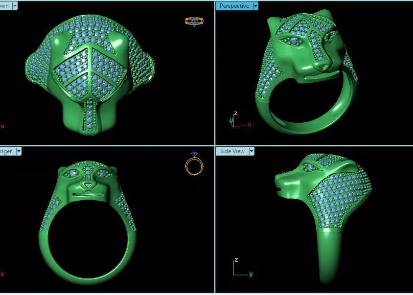 model ring 3D print model_0