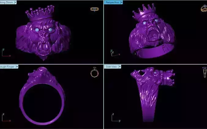 kung ring 3D print model