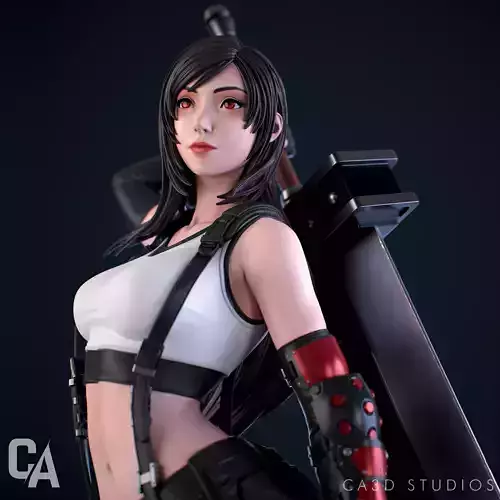 Tifa Lockhart 3D Print 3D print model