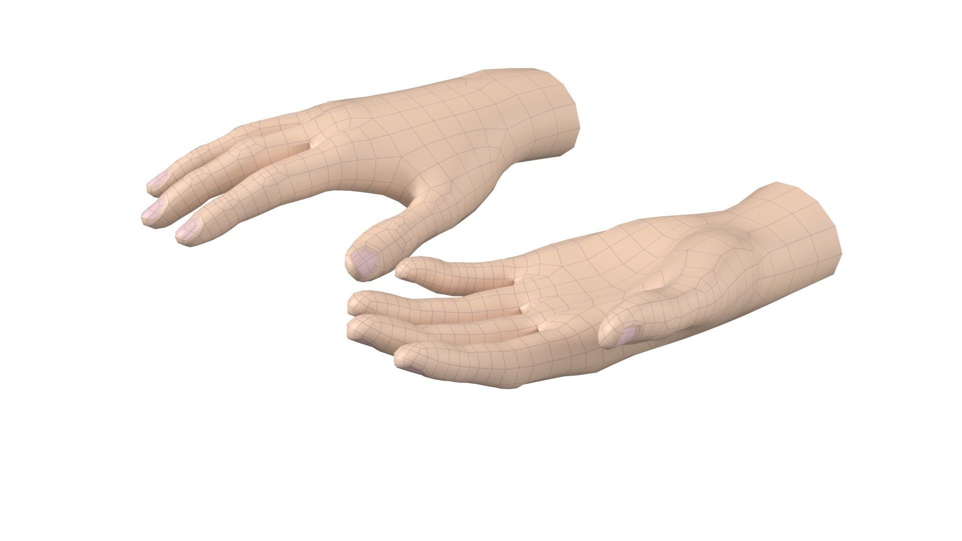 Female Hand Base Mesh 09 3D model_5