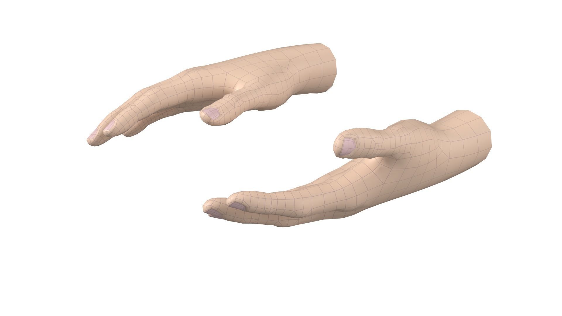 Female Hand Base Mesh 09 3D model_4