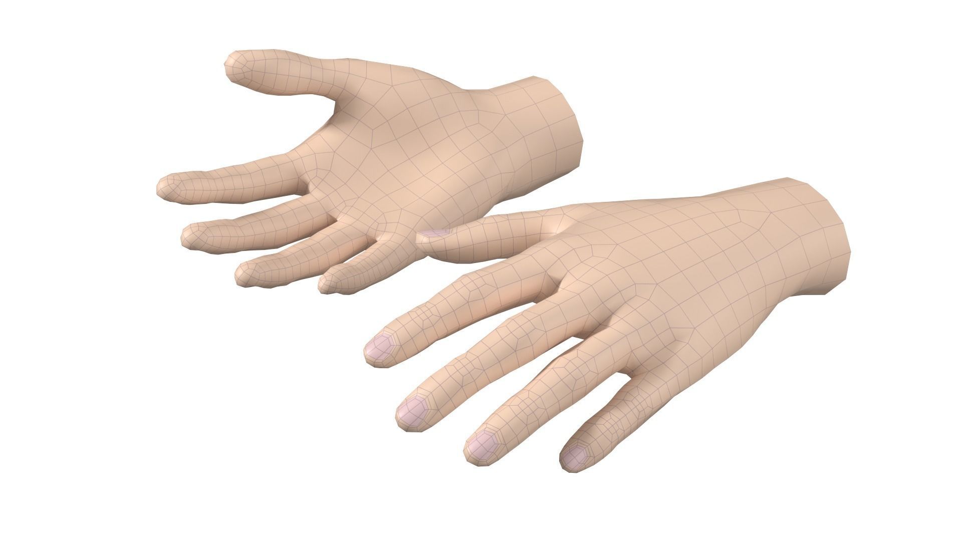 Female Hand Base Mesh 09 3D model_12