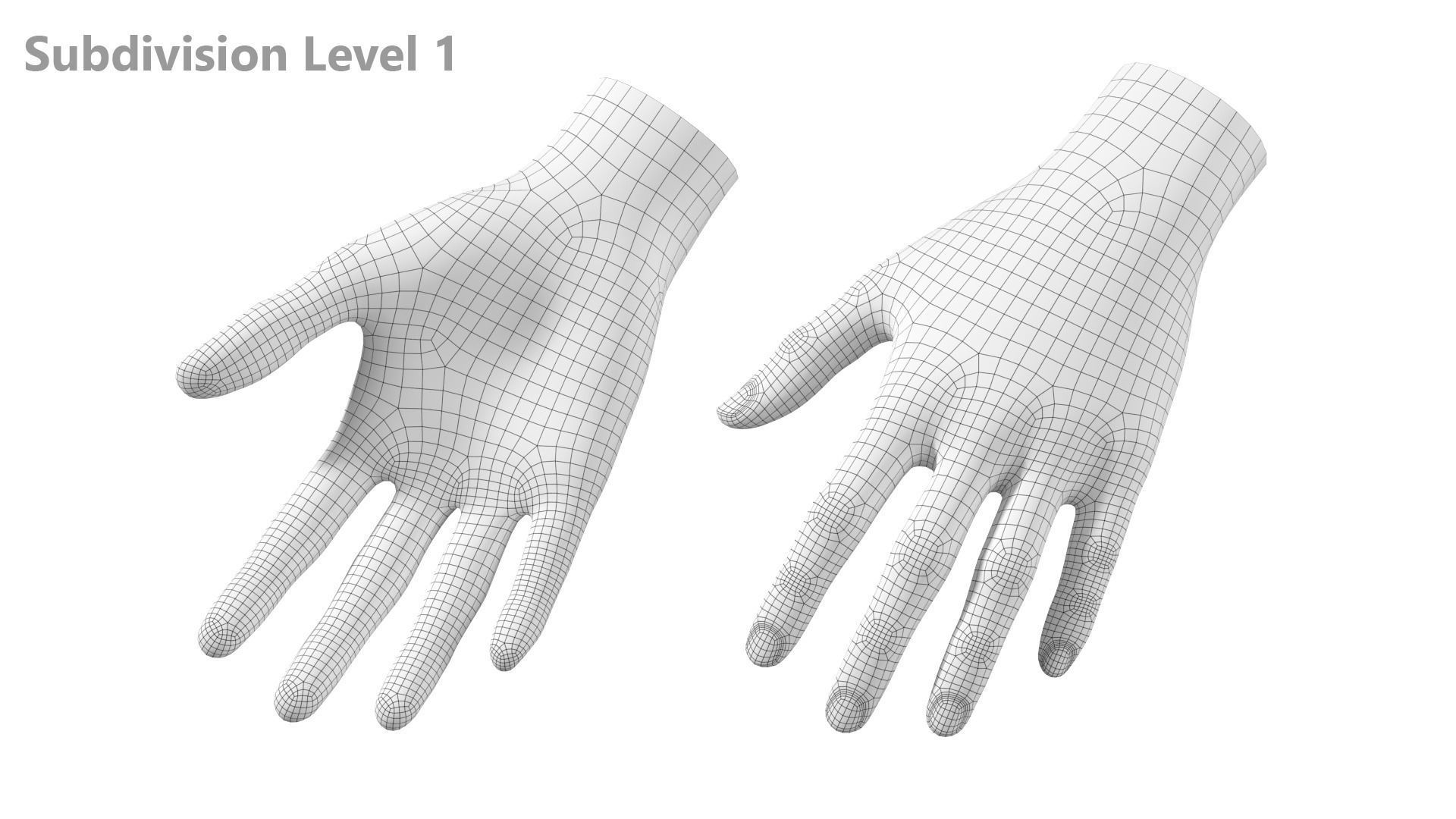 Female Hand Base Mesh 09 3D model_15