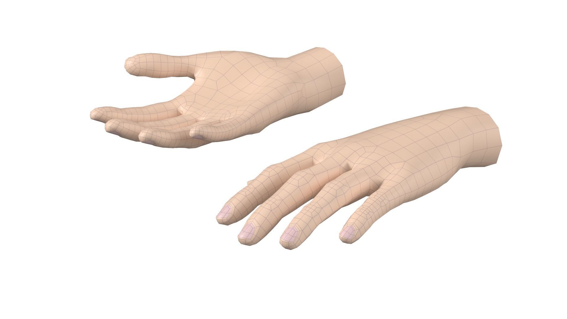 Female Hand Base Mesh 09 3D model_11