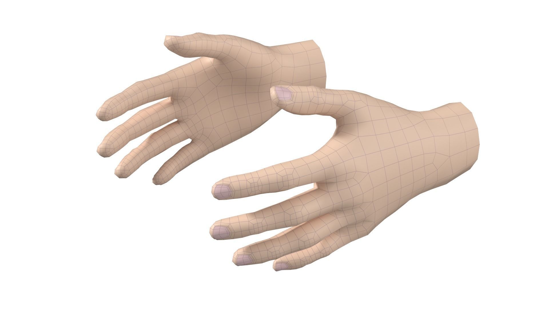 Female Hand Base Mesh 09 3D model_2
