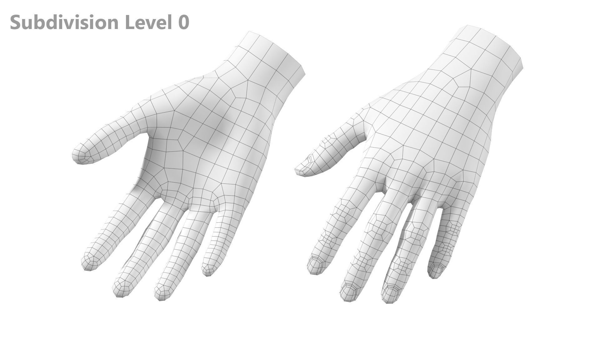 Female Hand Base Mesh 09 3D model_14