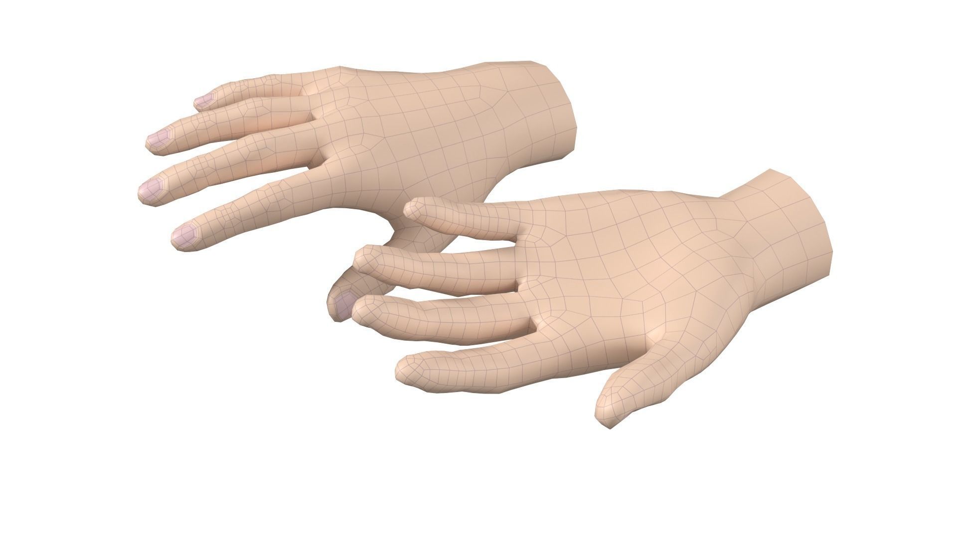 Female Hand Base Mesh 09 3D model_6